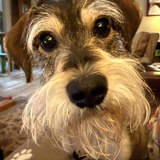 Entry image for Sam Elliot