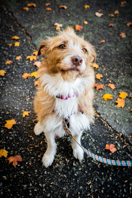 Entry image for Byrdie. Clicking this image will show a larger photo