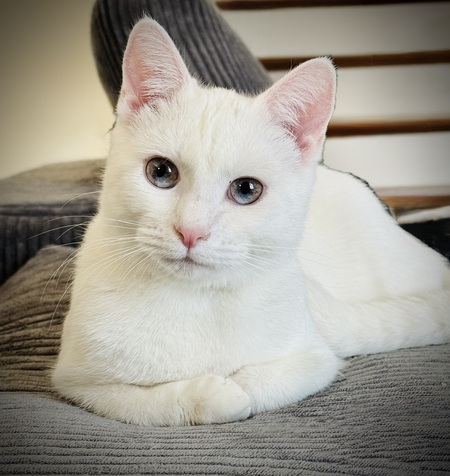 Entry image for Yuki. Clicking this image will show a larger photo