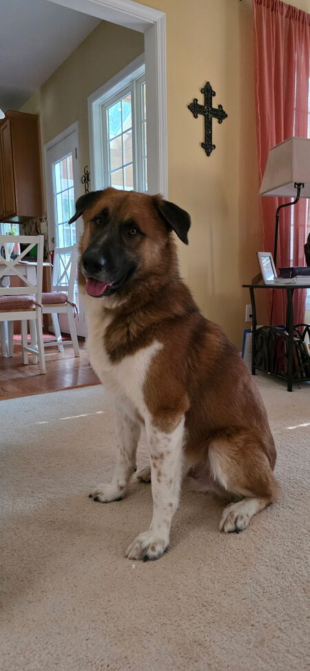 Entry image for Zeke. Clicking this image will show a larger photo