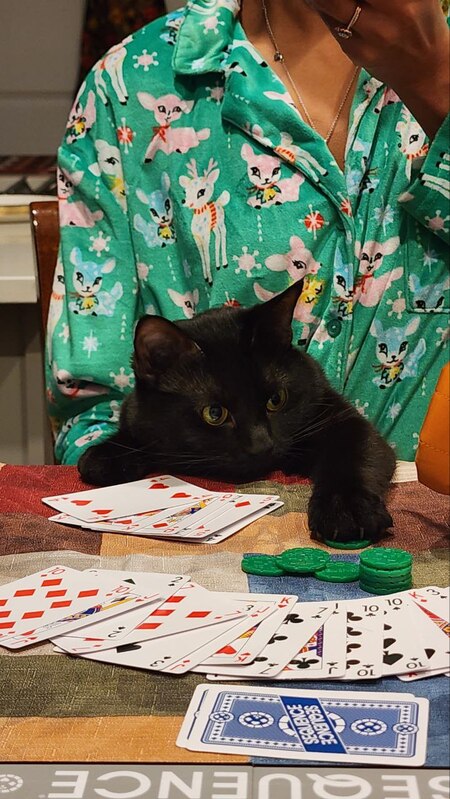 Entry image for Morticia (Tishy). Clicking this image will show a larger photo