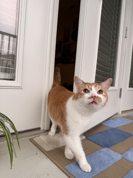 Entry image for Poopy. Clicking this image will show a larger photo