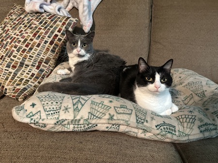 Entry image for Betsy and Beverly . Clicking this image will show a larger photo