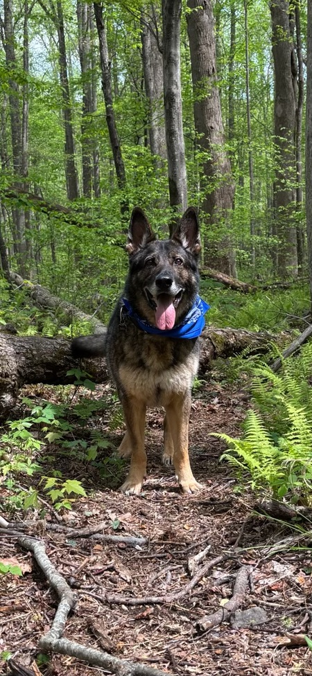 Entry image for Delta. Clicking this image will show a larger photo