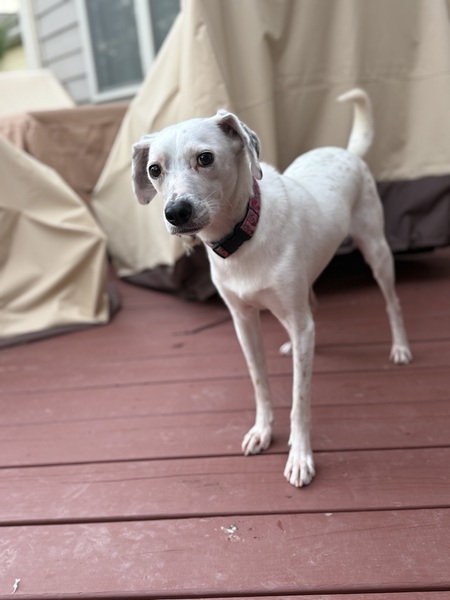 Entry image for Yuki. Clicking this image will show a larger photo