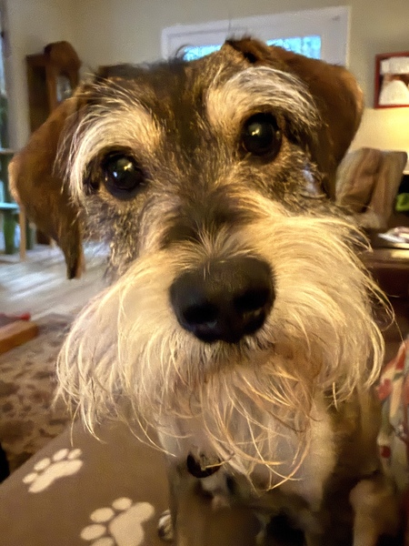 Entry image for Sam Elliot. Clicking this image will show a larger photo