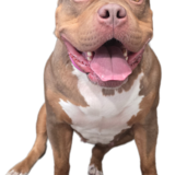 Entry image for Helga