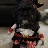 Entry image for Edison