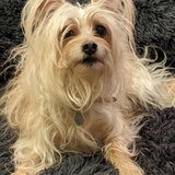 Entry image for Farrah