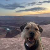 Entry image for Frank