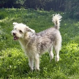 Entry image for Henry Cavill