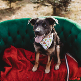 Entry image for Athena