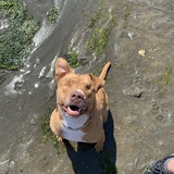 Entry image for Loki