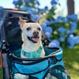 Entry image for Deli