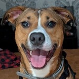 Entry image for Cali