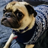 Entry image for Tedder Tot 