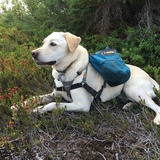 Entry image for Kenzie