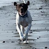 Entry image for Salem