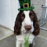 Entry image for Waylyn 