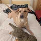 Entry image for Lumie