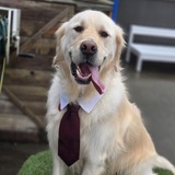 Entry image for Duncan