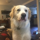 Entry image for River