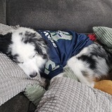 Entry image for Zoey