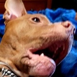 Entry image for Jake formerly known as Magic