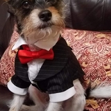 Entry image for Semso