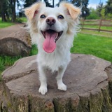 Entry image for Jasper