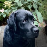 Entry image for Kevin