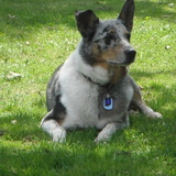 Entry image for Trixie Anne