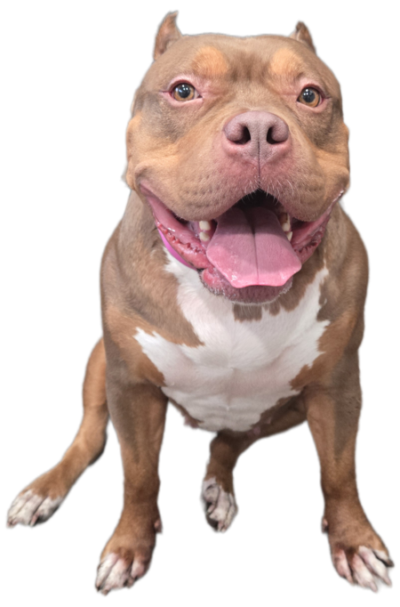 Entry image for Helga. Clicking this image will show a larger photo