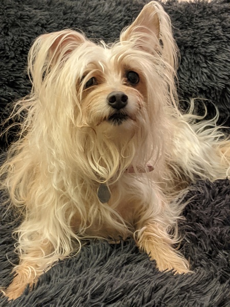 Entry image for Farrah. Clicking this image will show a larger photo