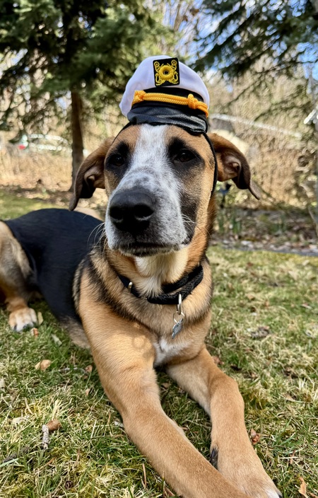 Entry image for Henry Bandito. Clicking this image will show a larger photo