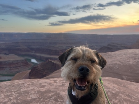 Entry image for Frank. Clicking this image will show a larger photo