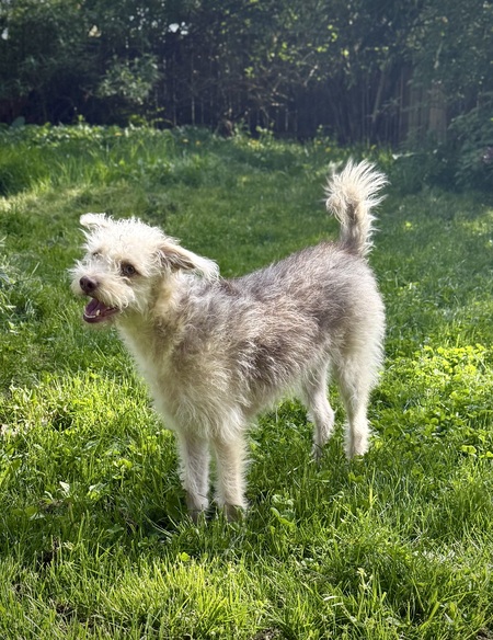 Entry image for Henry Cavill. Clicking this image will show a larger photo