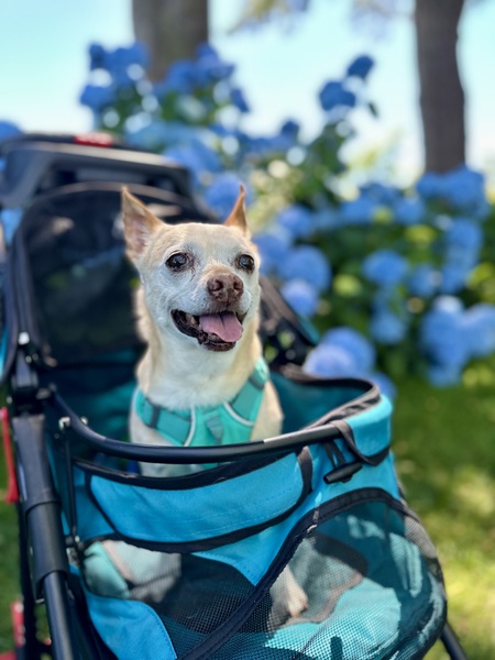 Entry image for Deli. Clicking this image will show a larger photo