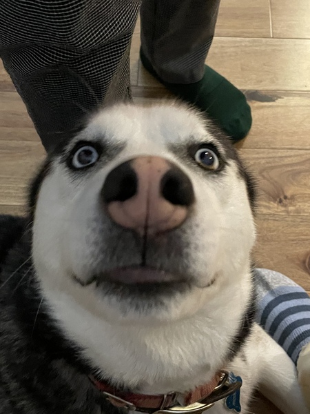 Entry image for Kaz. Clicking this image will show a larger photo