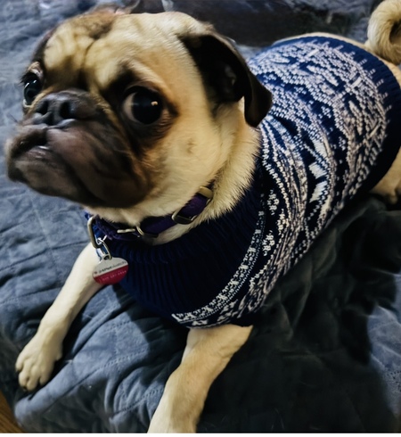 Entry image for Tedder Tot . Clicking this image will show a larger photo