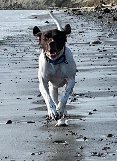 Entry image for Salem. Clicking this image will show a larger photo