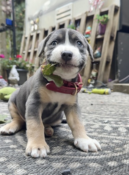 Entry image for Arthur Morgan. Clicking this image will show a larger photo