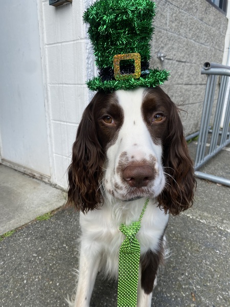 Entry image for Waylyn . Clicking this image will show a larger photo