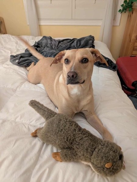 Entry image for Lumie. Clicking this image will show a larger photo