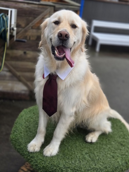 Entry image for Duncan. Clicking this image will show a larger photo