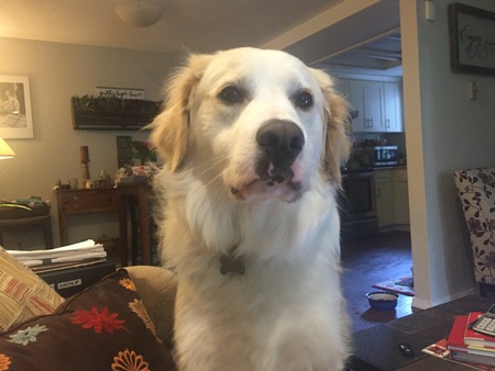 Entry image for River. Clicking this image will show a larger photo