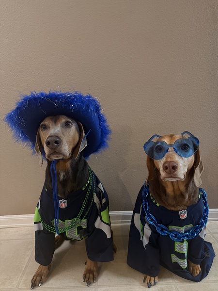 Entry image for Moose and Indie. Clicking this image will show a larger photo