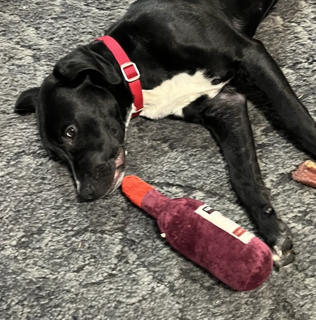 Entry image for Hobbs (Boozer). Clicking this image will show a larger photo