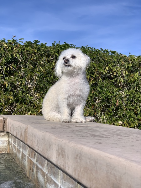 Entry image for Zoe. Clicking this image will show a larger photo