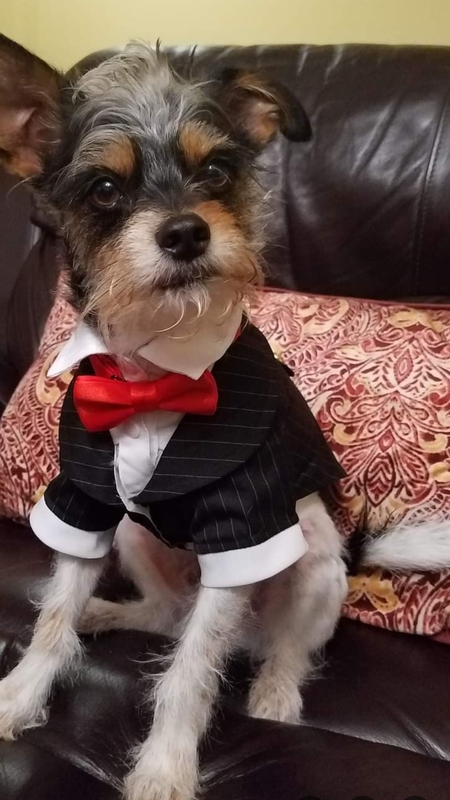 Entry image for Semso. Clicking this image will show a larger photo